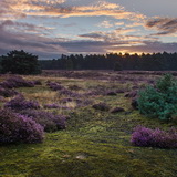 Sunset at Heuvelse Heide